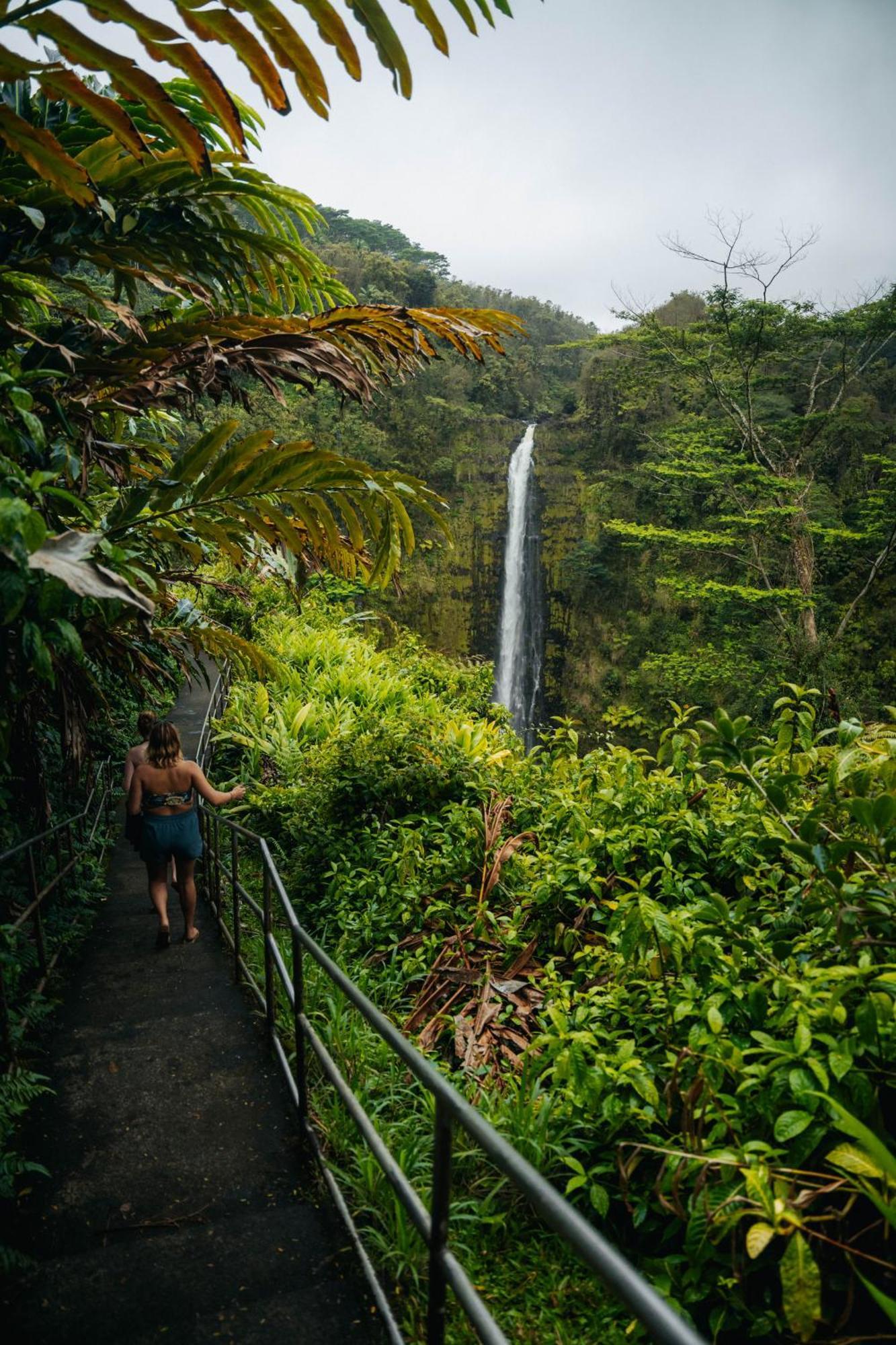 Albergue Howzit Hawaii *