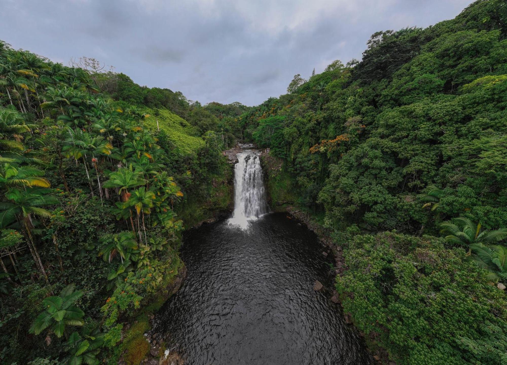 Howzit Hawaii Albergue *