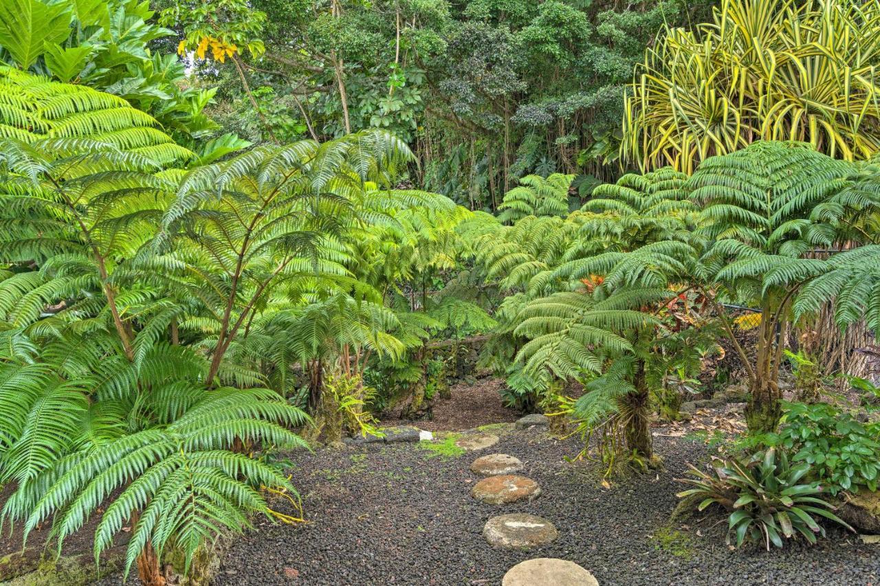Oasis - 32 Mi To Volcanoes National Park! Holiday home *