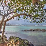 Maluhia Kahakai Condo