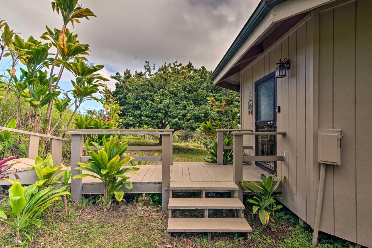 Couples Retreat About 6 Miles To Honolii Beach! Apartment