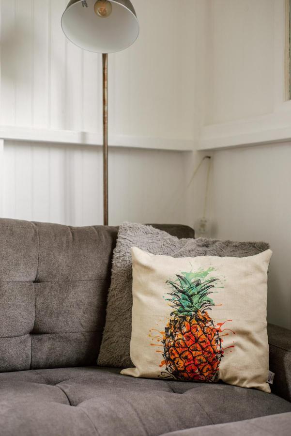 New - Pineapple Loft - Entire House Downtown With Ac *