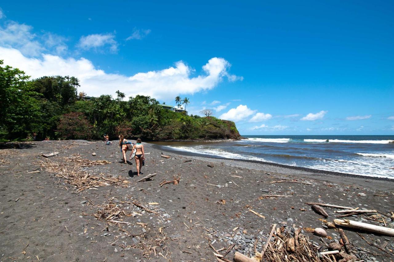 Ocean Views On The Hamakua Coast!