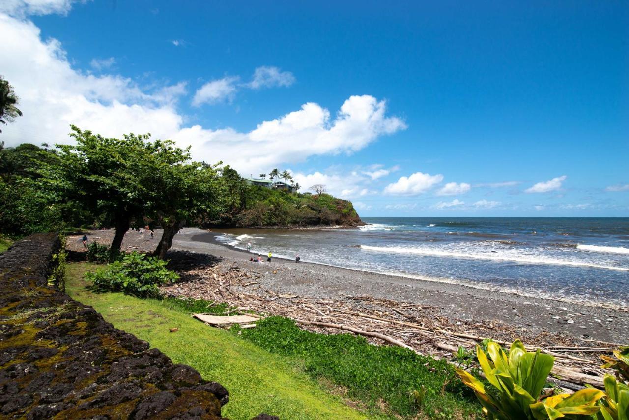 Ocean Views On The Hamakua Coast! Hilo