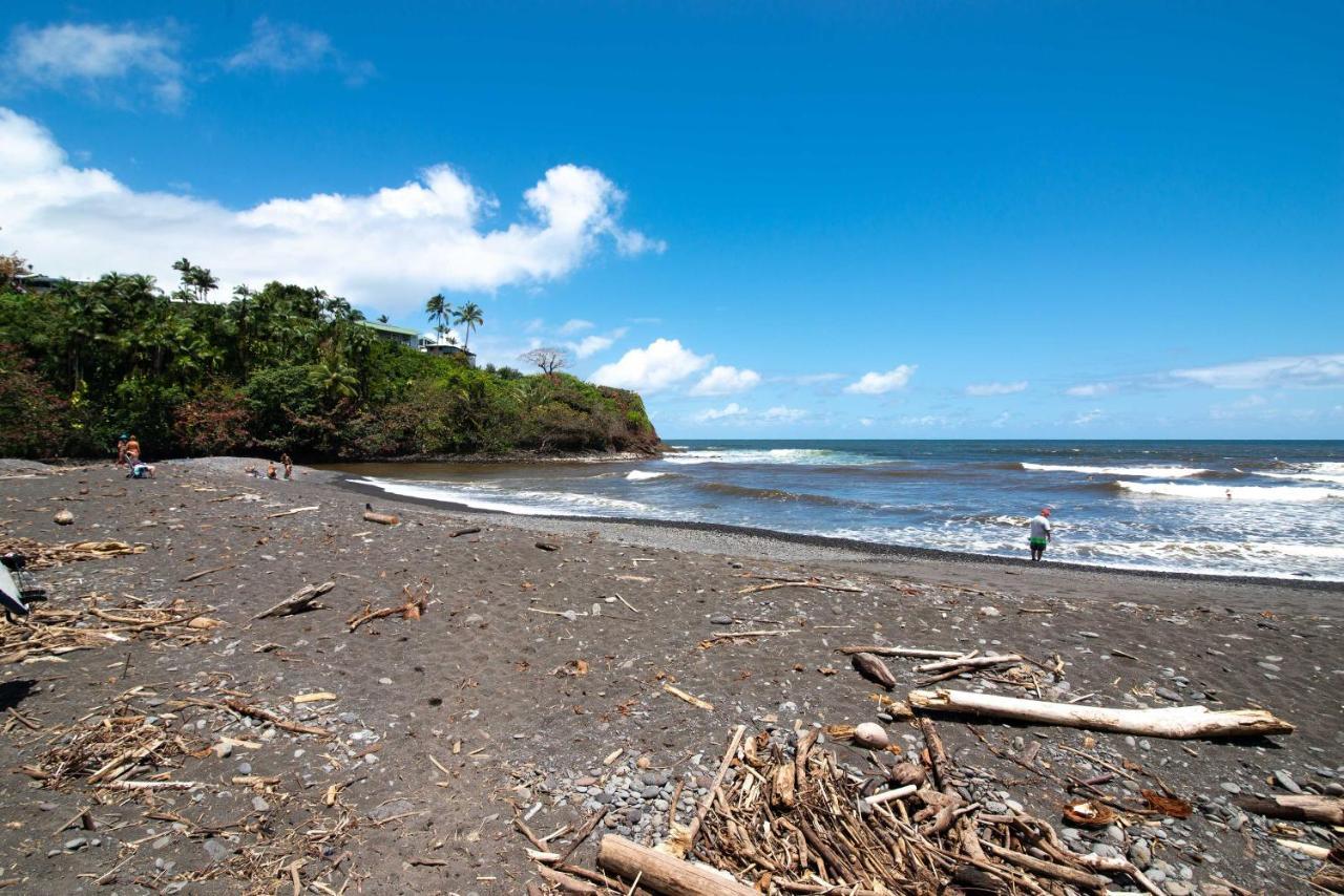 Apartment Ocean Views On The Hamakua Coast!