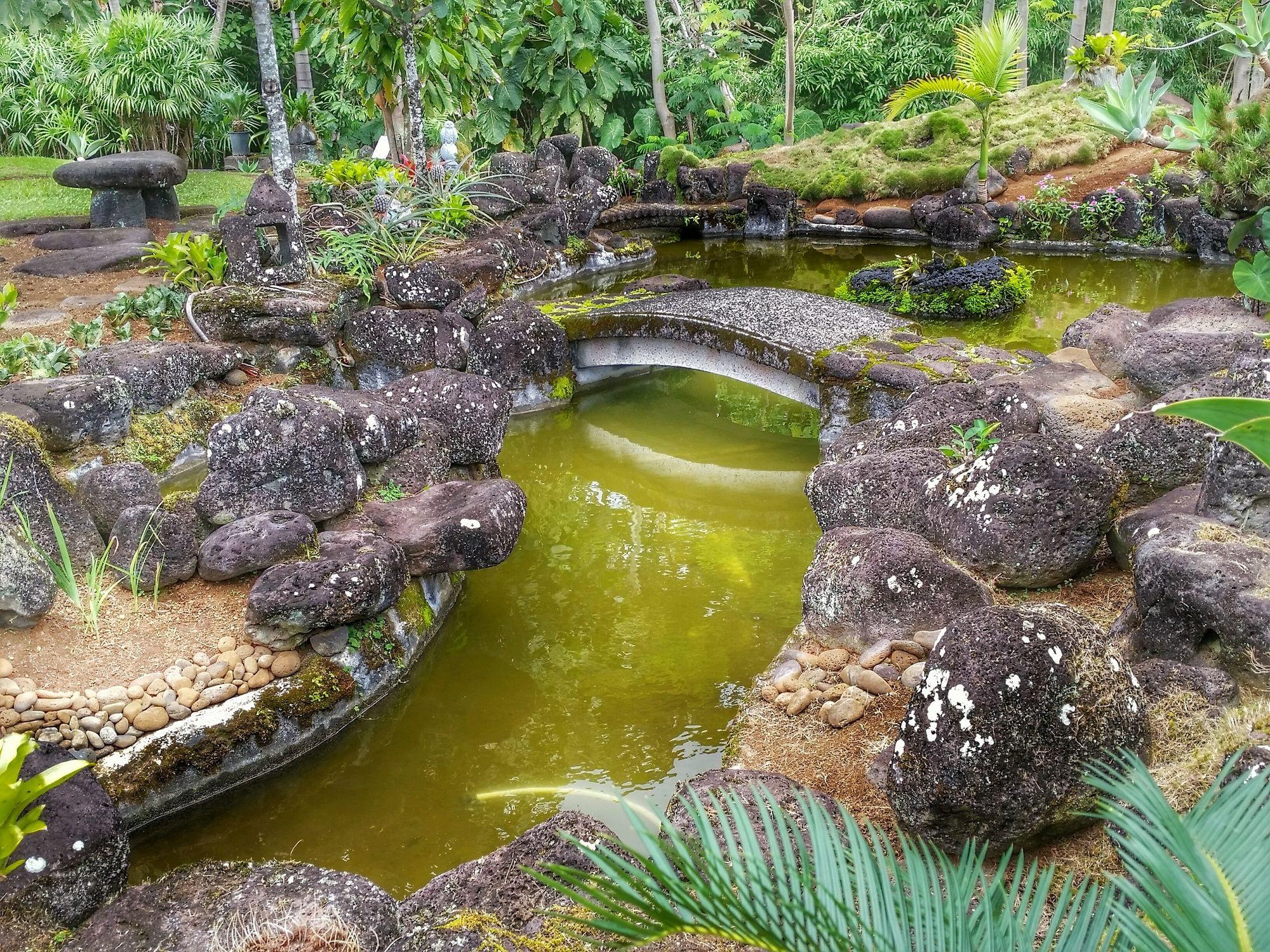 Hilltop Legacy Vacation Hilo