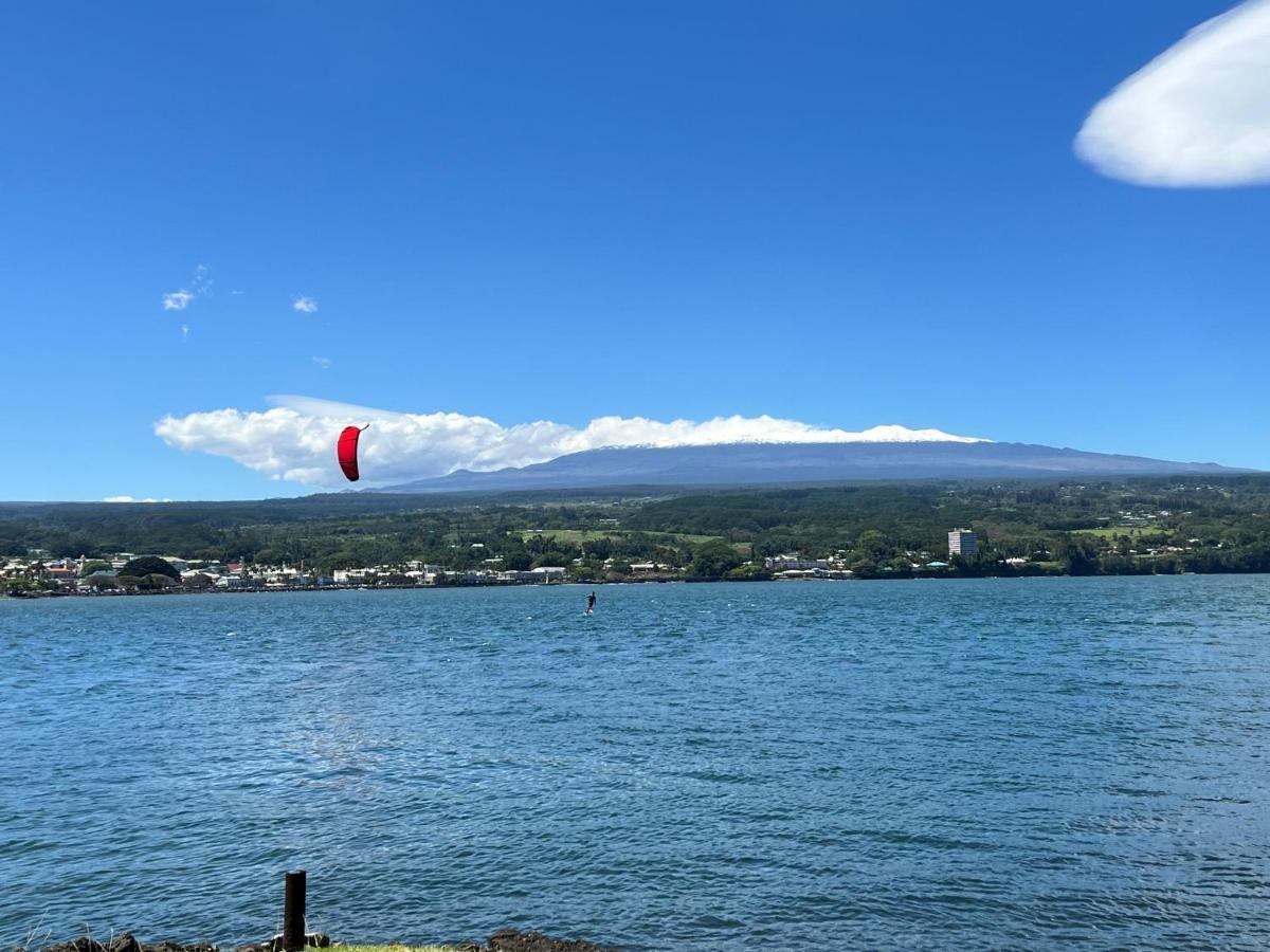 Direct Oceanfront Mauna Loa Shores Honu Elua #508 Next To Carlsmith Park, Hi