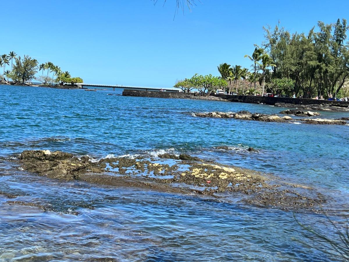 Direct Oceanfront Mauna Loa Shores Honu Elua #508 Next To Carlsmith Park, Hi *