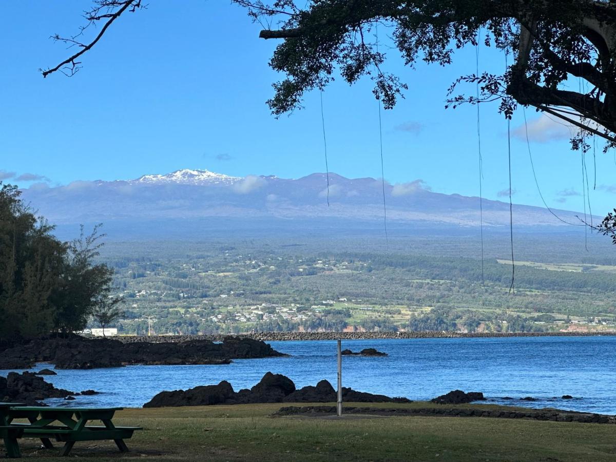 Direct Oceanfront Mauna Loa Shores Honu Elua #508 Next To Carlsmith Park, Hi Apartment Hilo