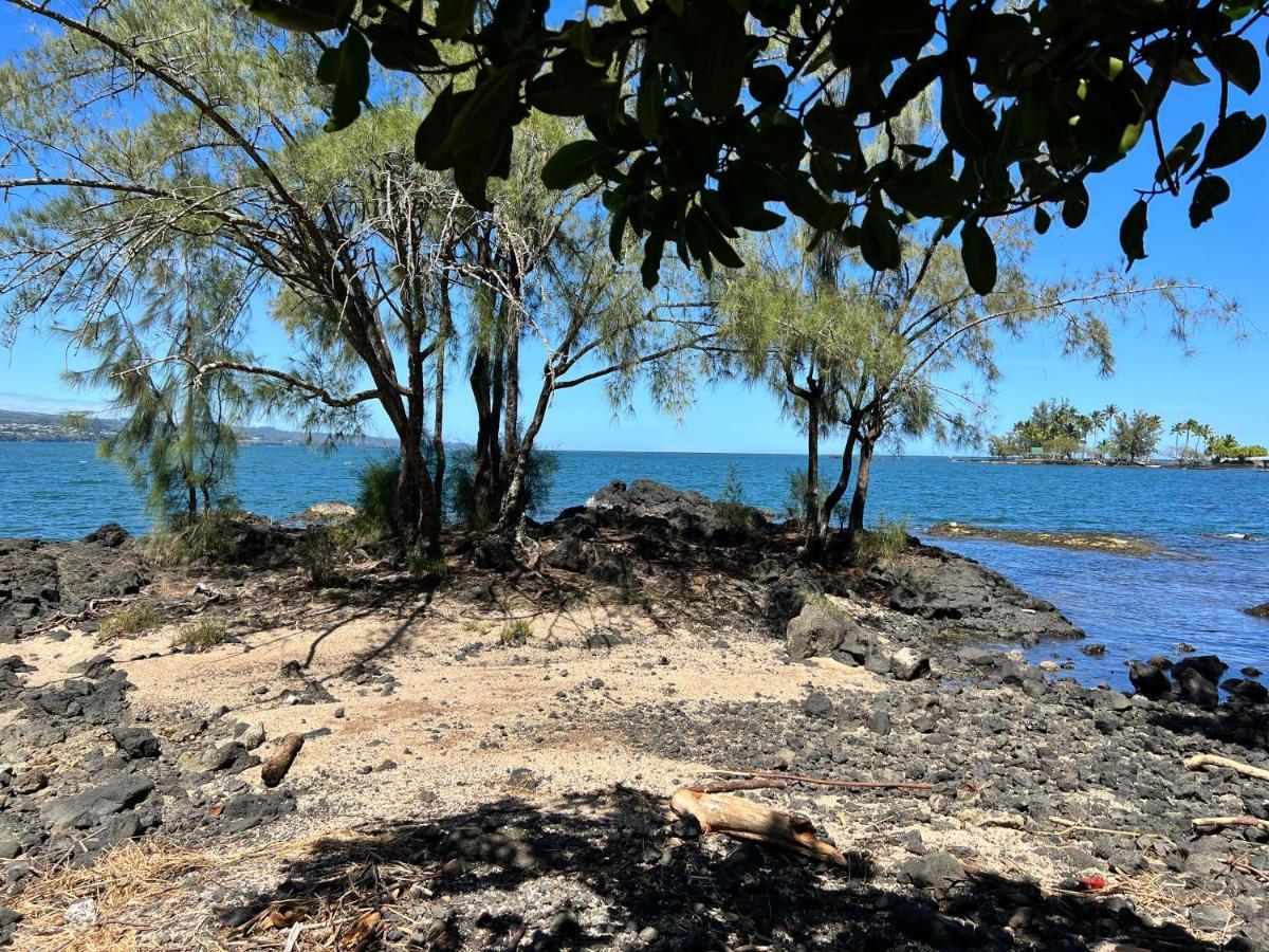 Direct Oceanfront Mauna Loa Shores Honu Elua #508 Next To Carlsmith Park, Hi Apartment *