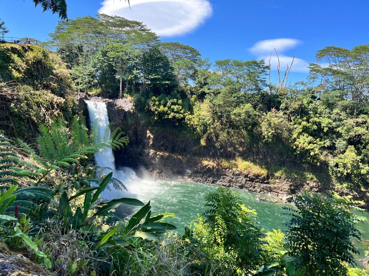 Direct Oceanfront Mauna Loa Shores Honu Elua #508 Next To Carlsmith Park, Hi Apartment *