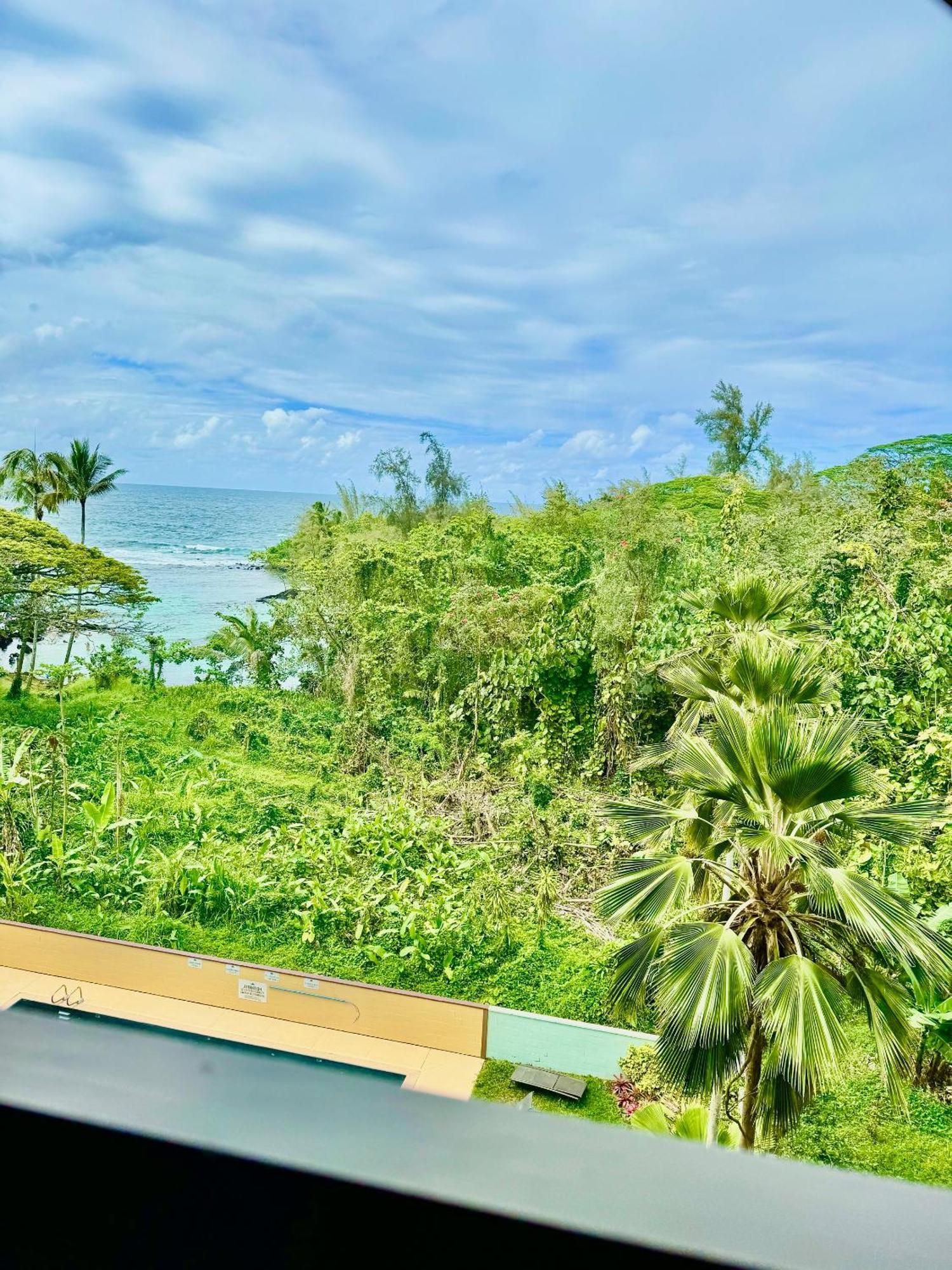 Direct Oceanfront Mauna Loa Shores Honu Elua #508 Next To Carlsmith Park, Hi Apartment Hilo
