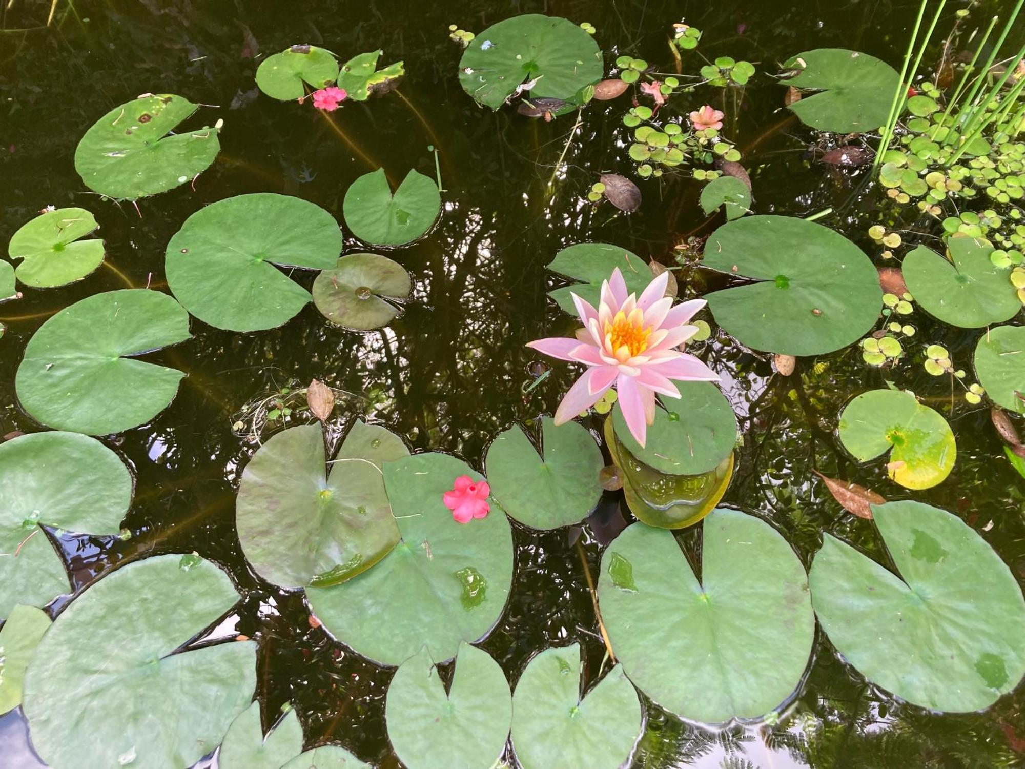 House Of Light Sanctuary Homestay