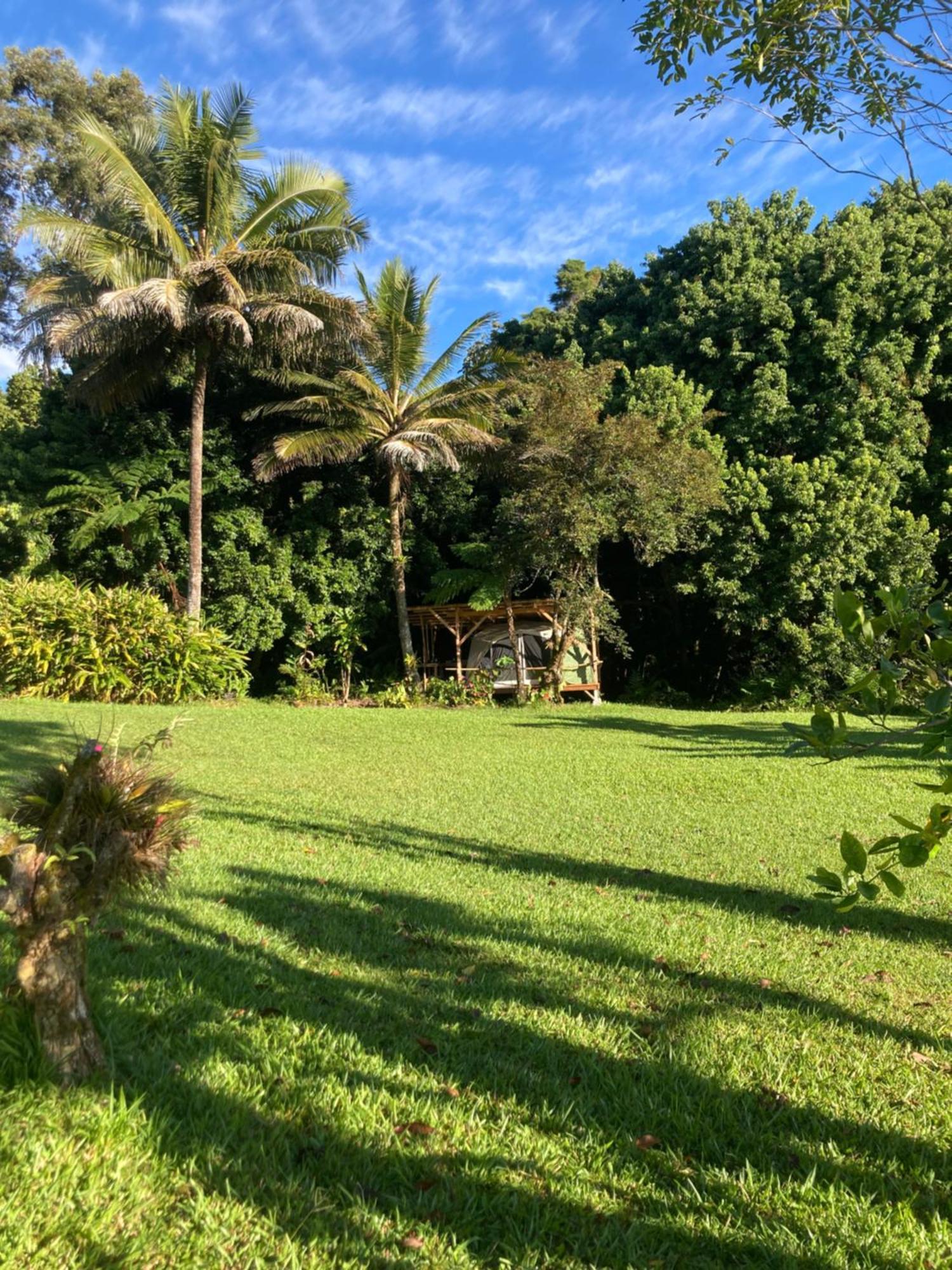 Homestay House Of Light Sanctuary Hilo