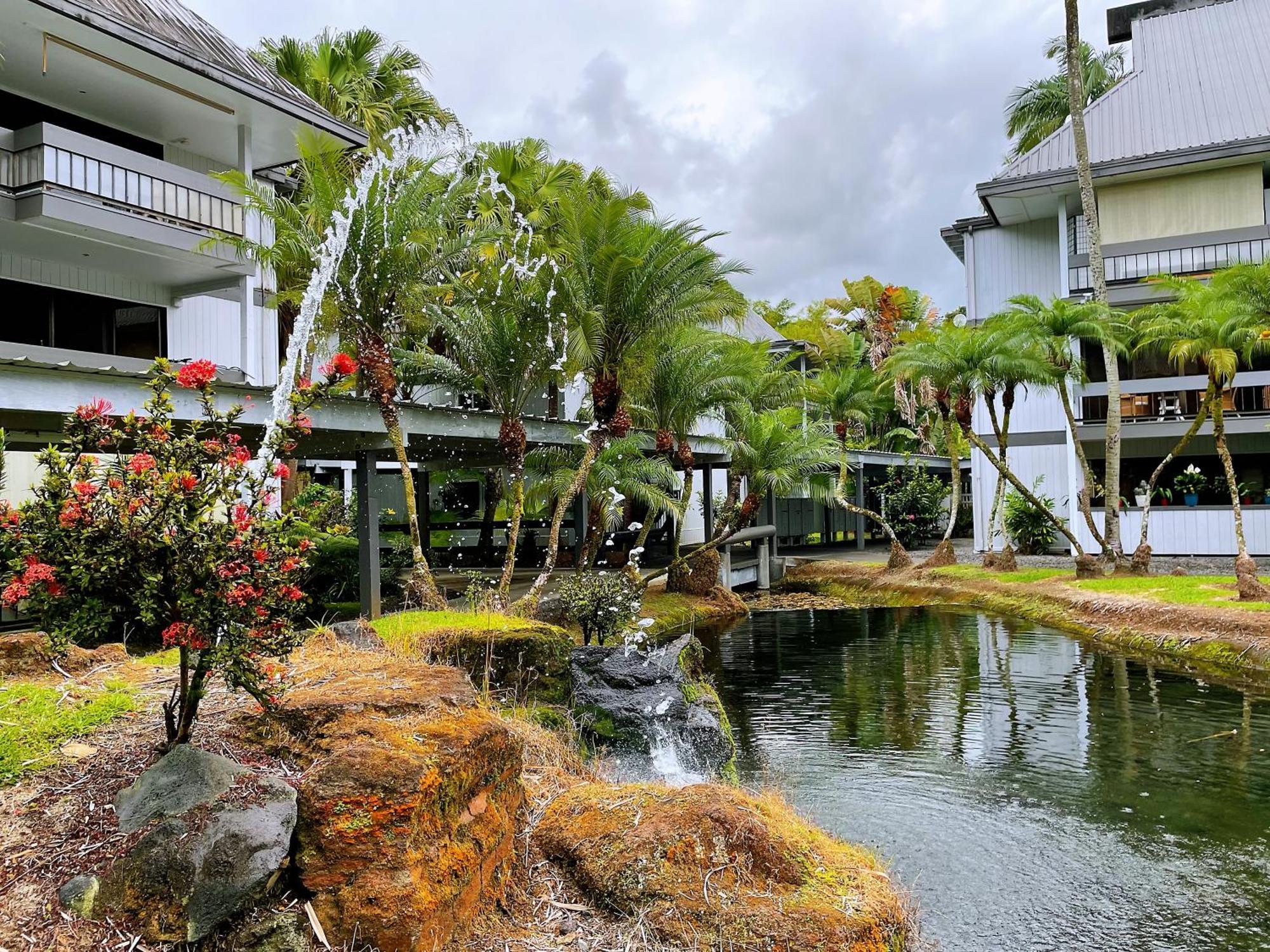 In Center With Pool And Views Apartment