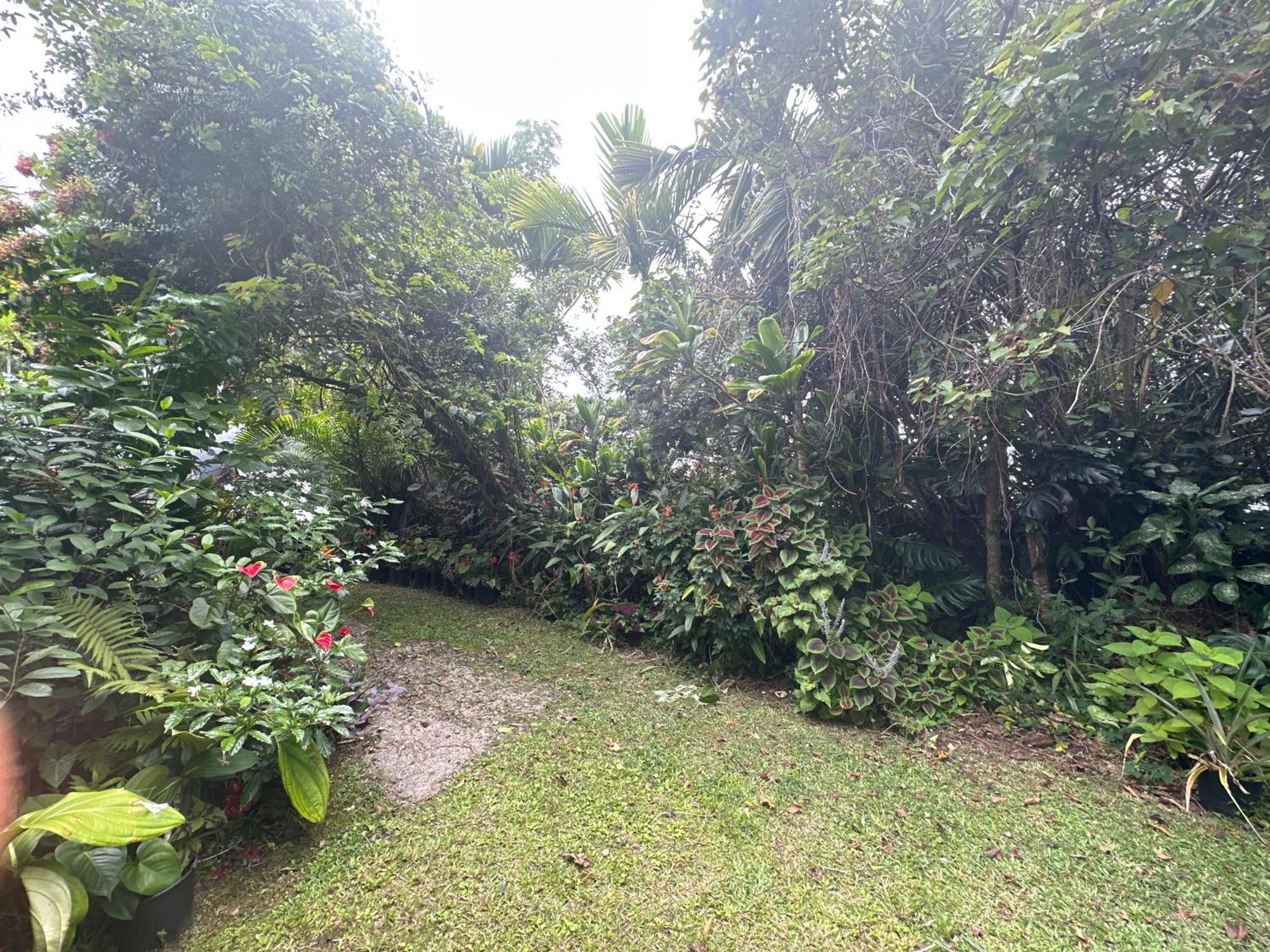 Hawaiian Ohana Acomodação com café da manhã 