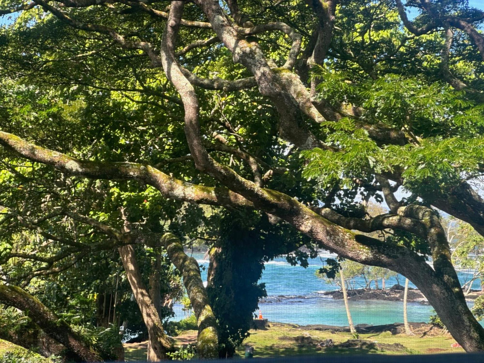 Ocean View Mauna Loa Shores Kai Ekahi #201 Next To Carlsmith Park Hi Aparthotel