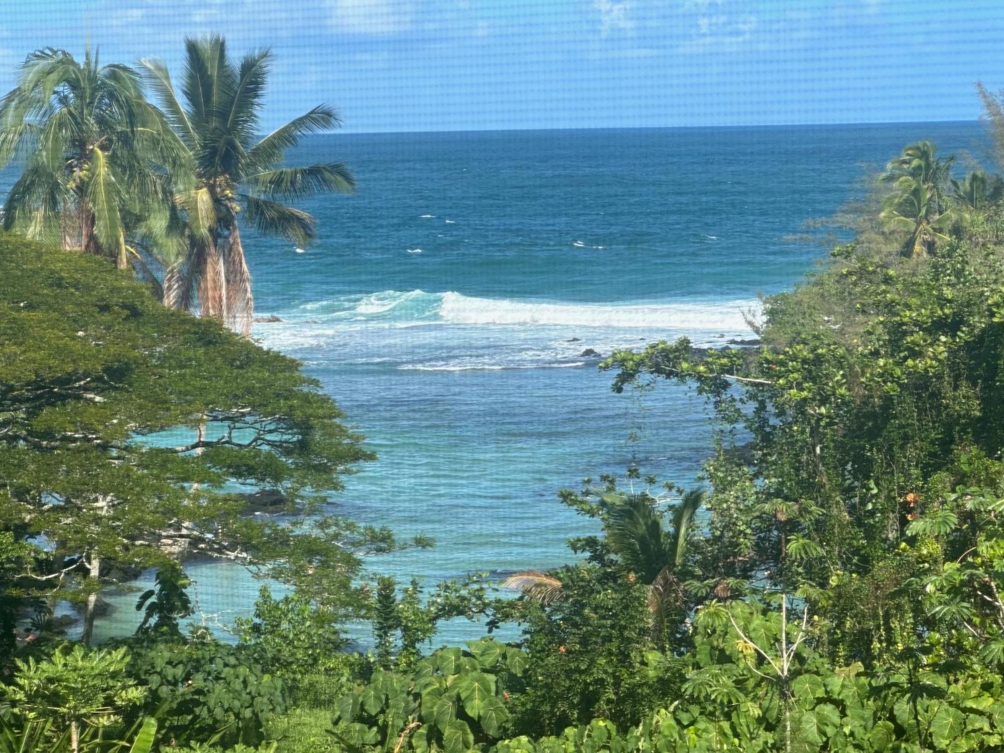 Apartment Direct Oceanfront Mauna Loa Shores Honu Elua #508 Next To Carlsmith Park, Hi *