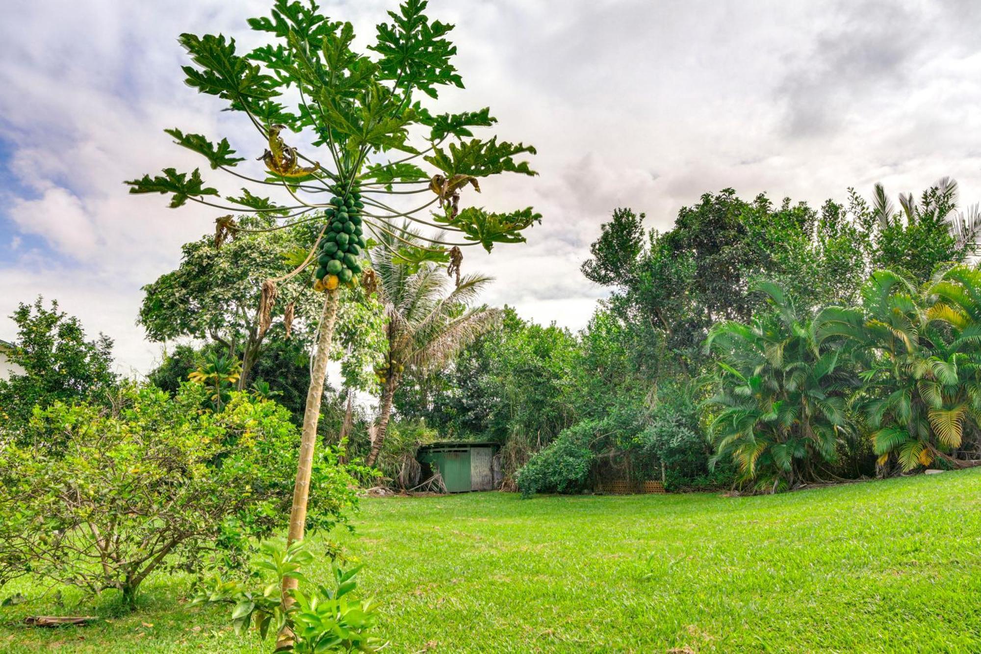 Charming Historic House Minutes To Beach! * Hilo