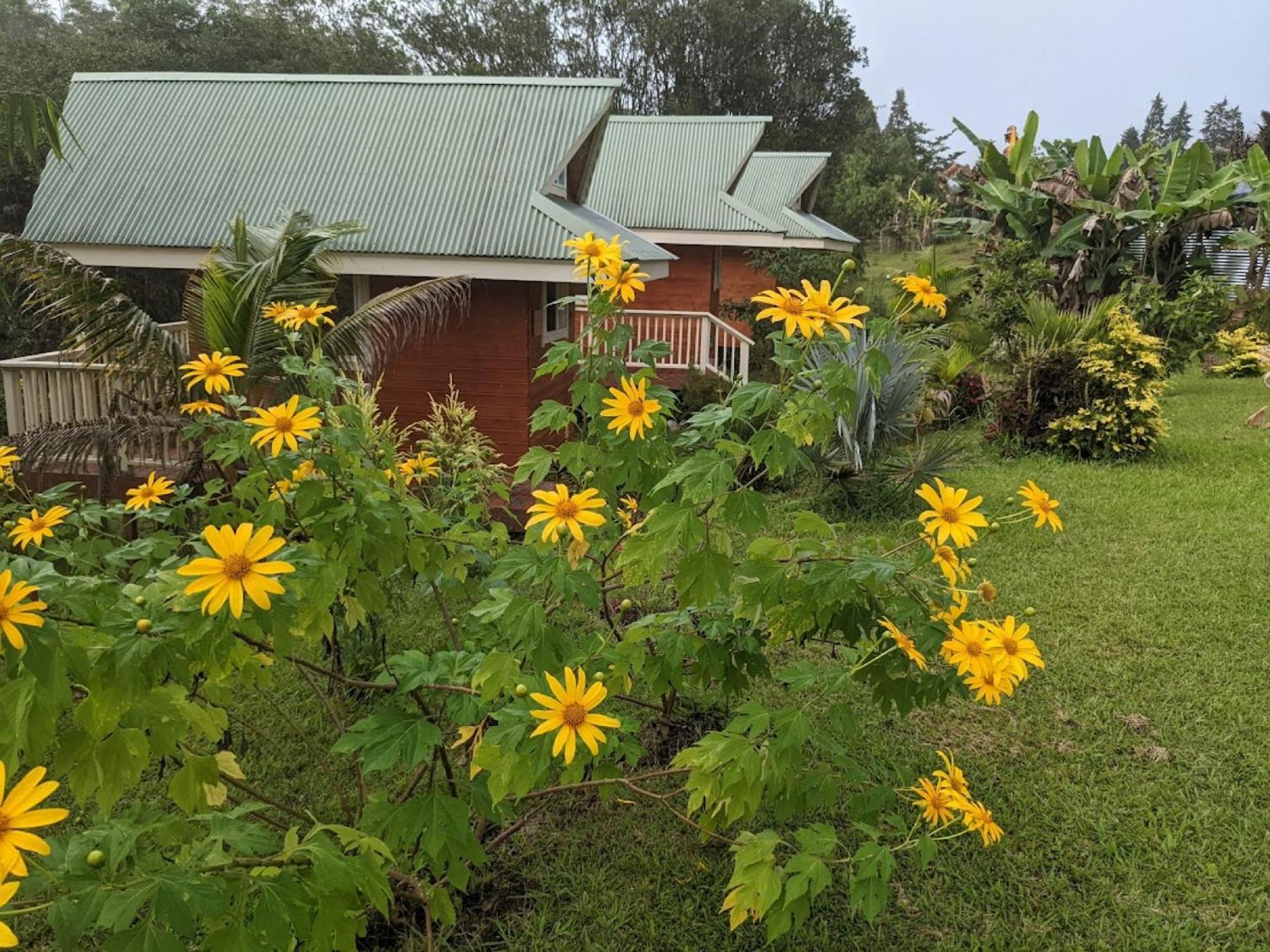 Lodge Kikala Waterfall