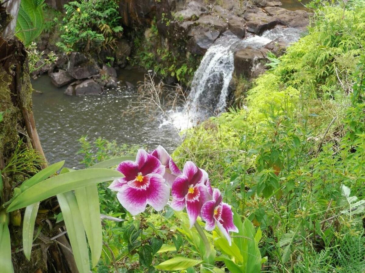 Kikala Waterfall *