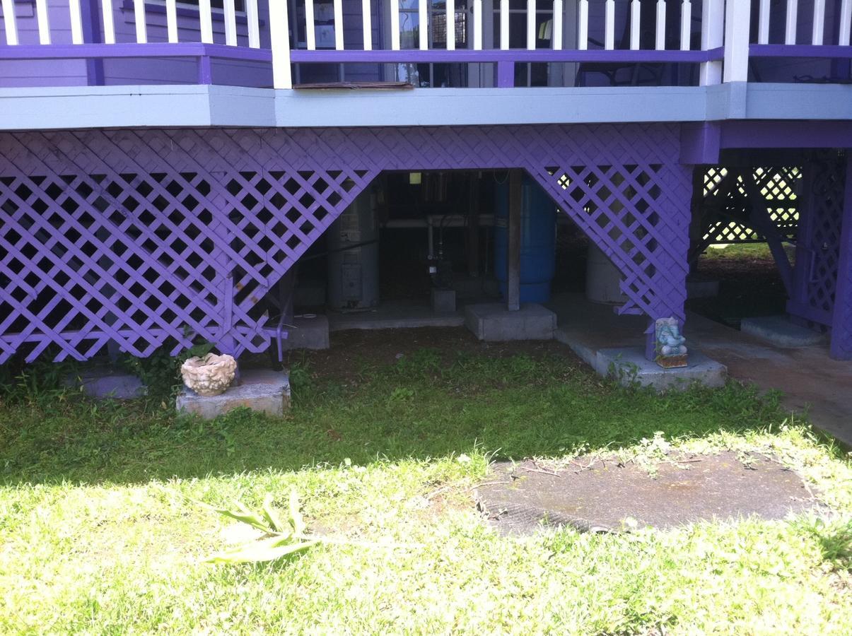 Hawaii Tropical Volcano Mansion + Sauna Hilo