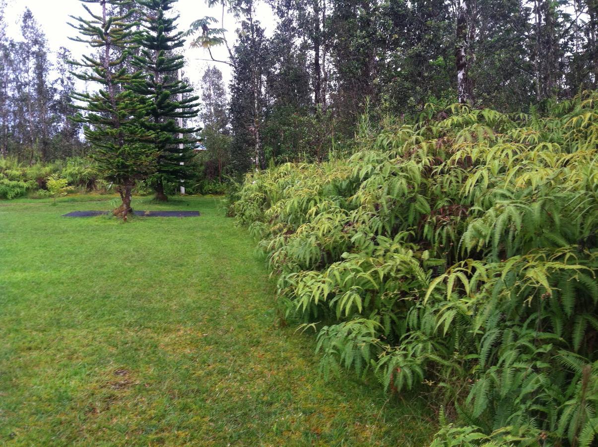 Hawaii Tropical Volcano Mansion + Sauna * Hilo
