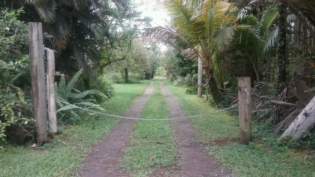 Hawaii Tropical Volcano Mansion + Sauna