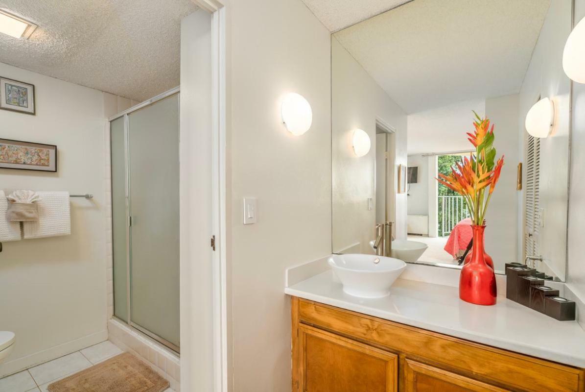 New! Lagoon Center #526 In The Heart Of With Lagoon Views! Hilo