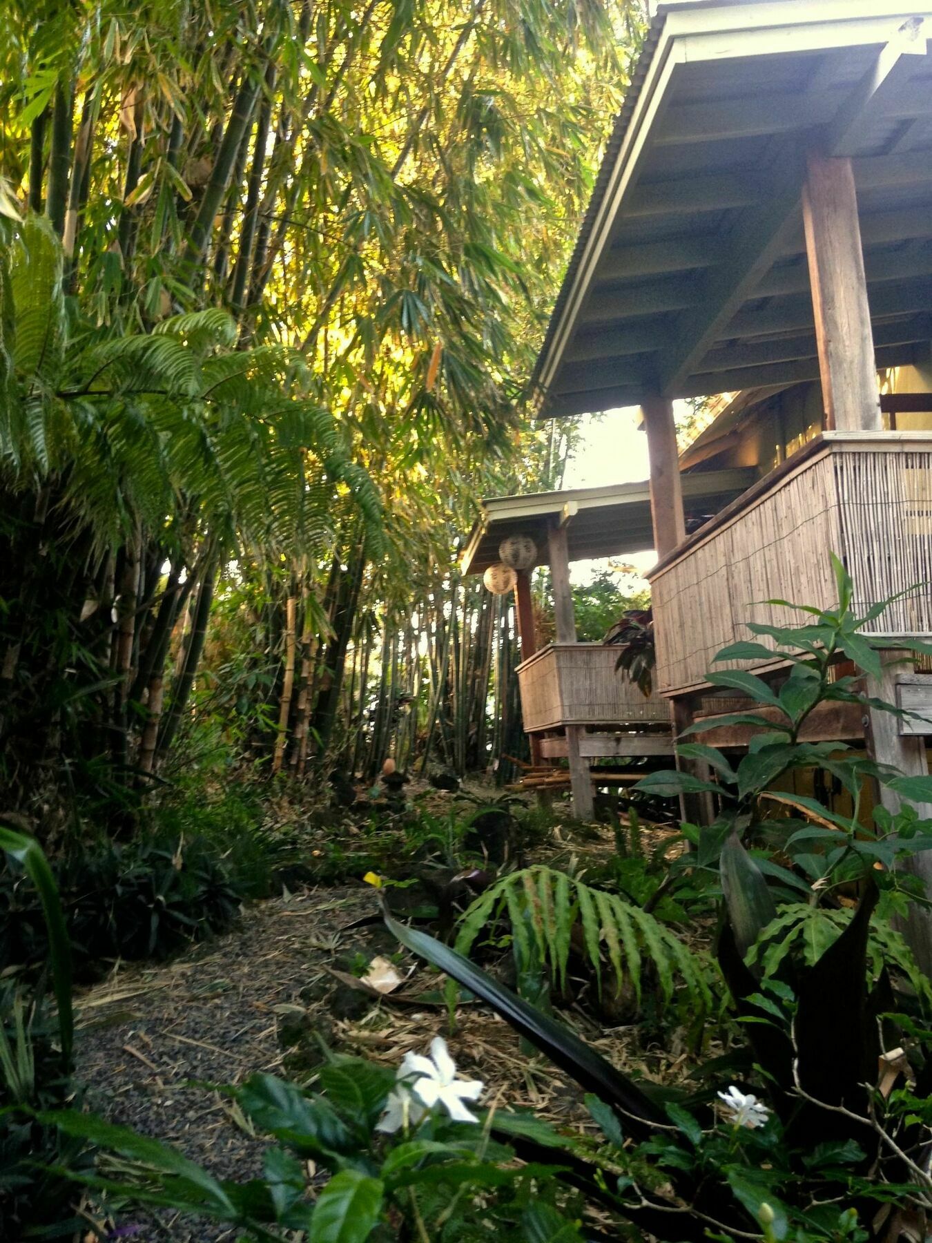 Bay Hale Hilo