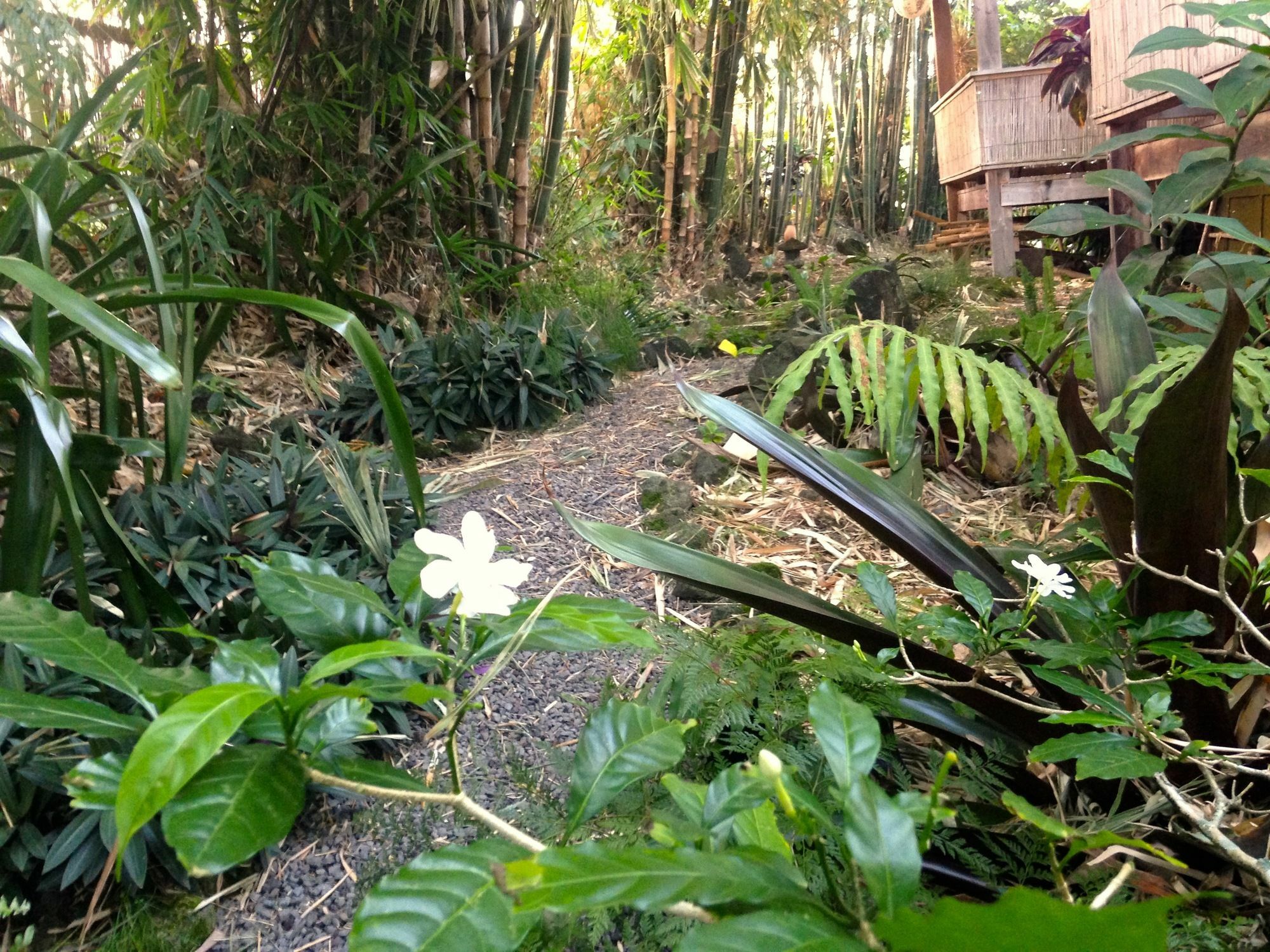 Hotel Bay Hale 3*