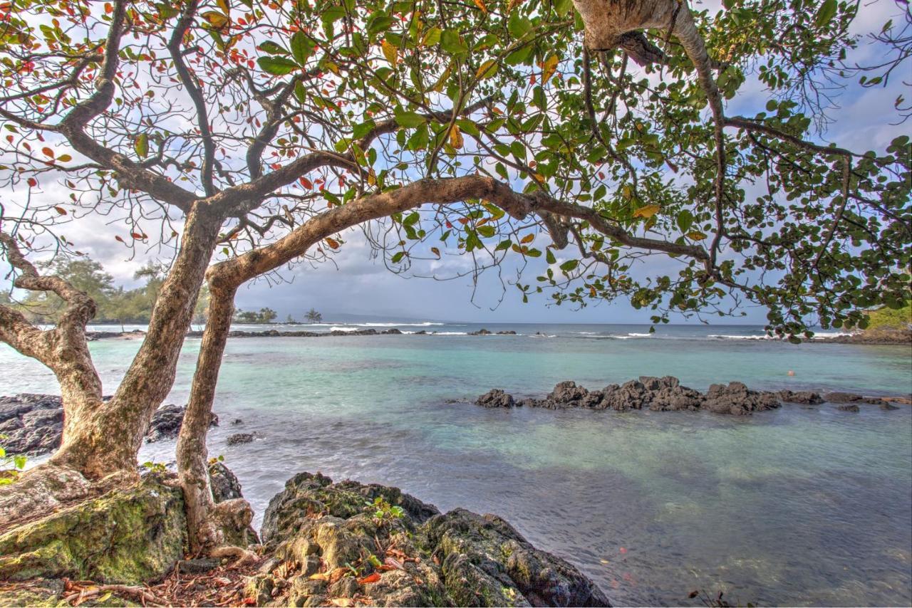 Maluhia Kahakai * Hilo