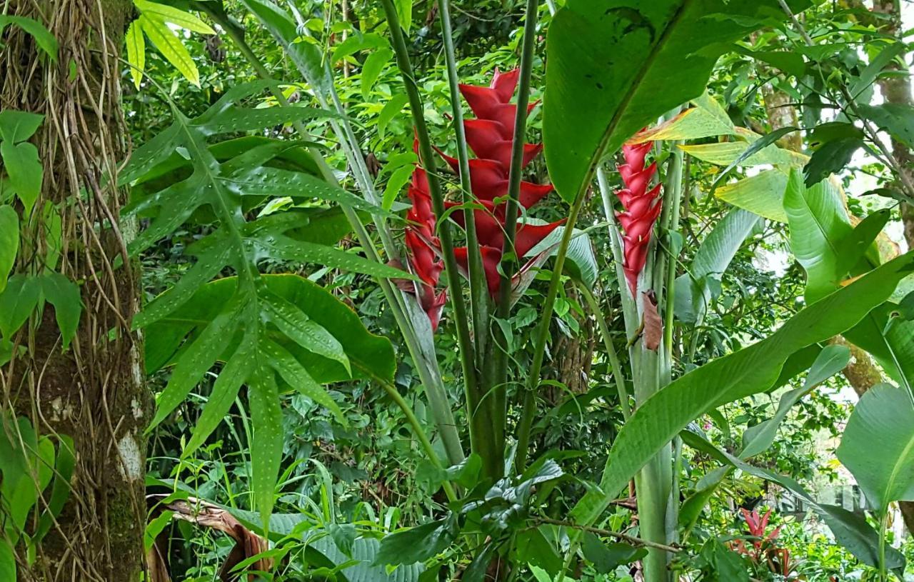 Maluhia Kahakai *