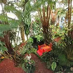 Paradise Cottage At Anthurium Hale