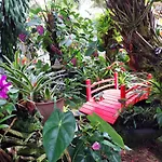 Paradise Cottage At Anthurium Hale