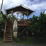 Wild Ginger Inn Hotel & Hostel