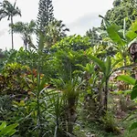 Wild Ginger Inn Hotel & Hostel