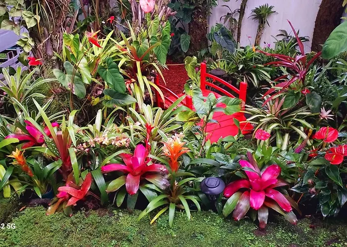 Paradise Cottage At Anthurium Hale