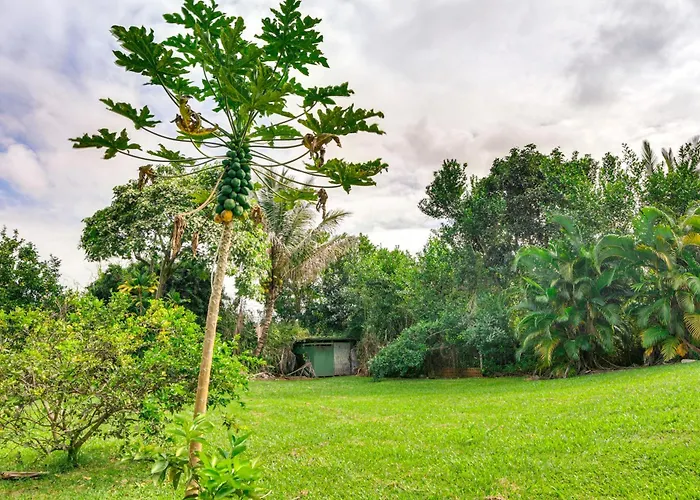 Charming Historic Hilo House Minutes To Beach!