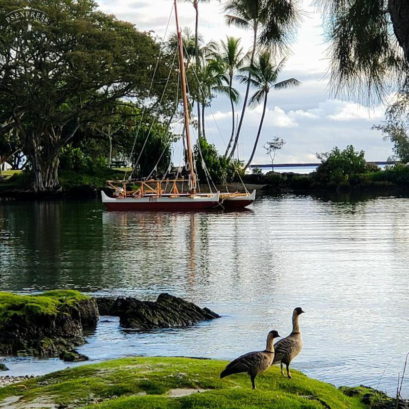 Reeds Bay 3* Hilo