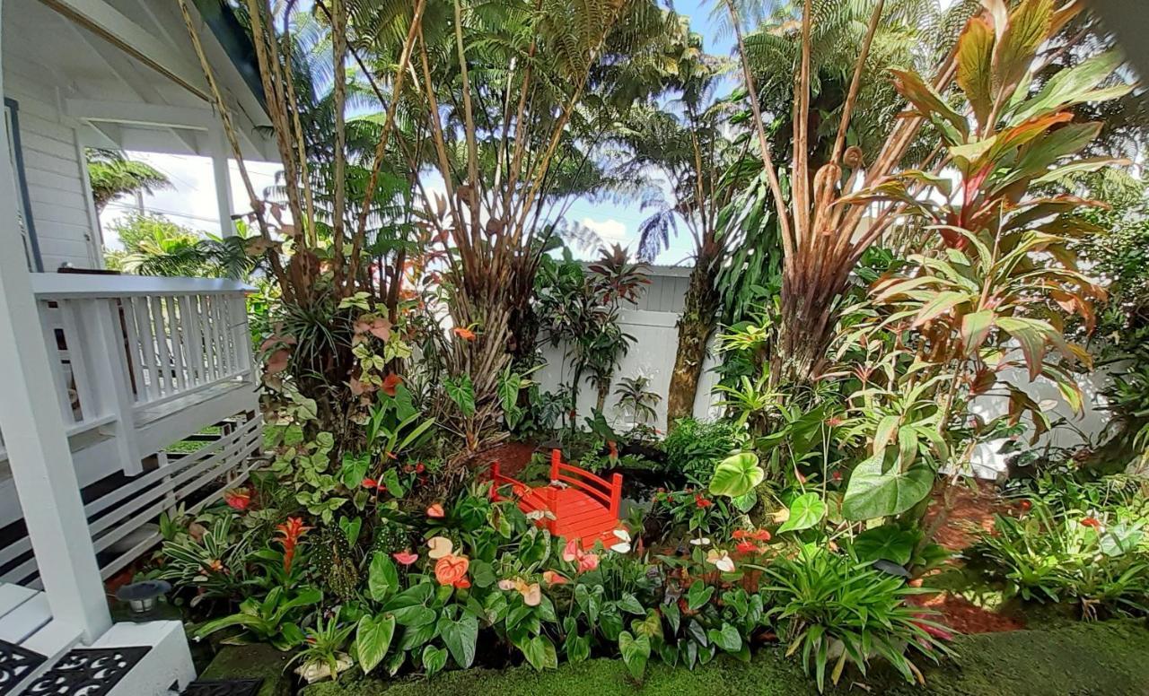 Paradise At Anthurium Hale *