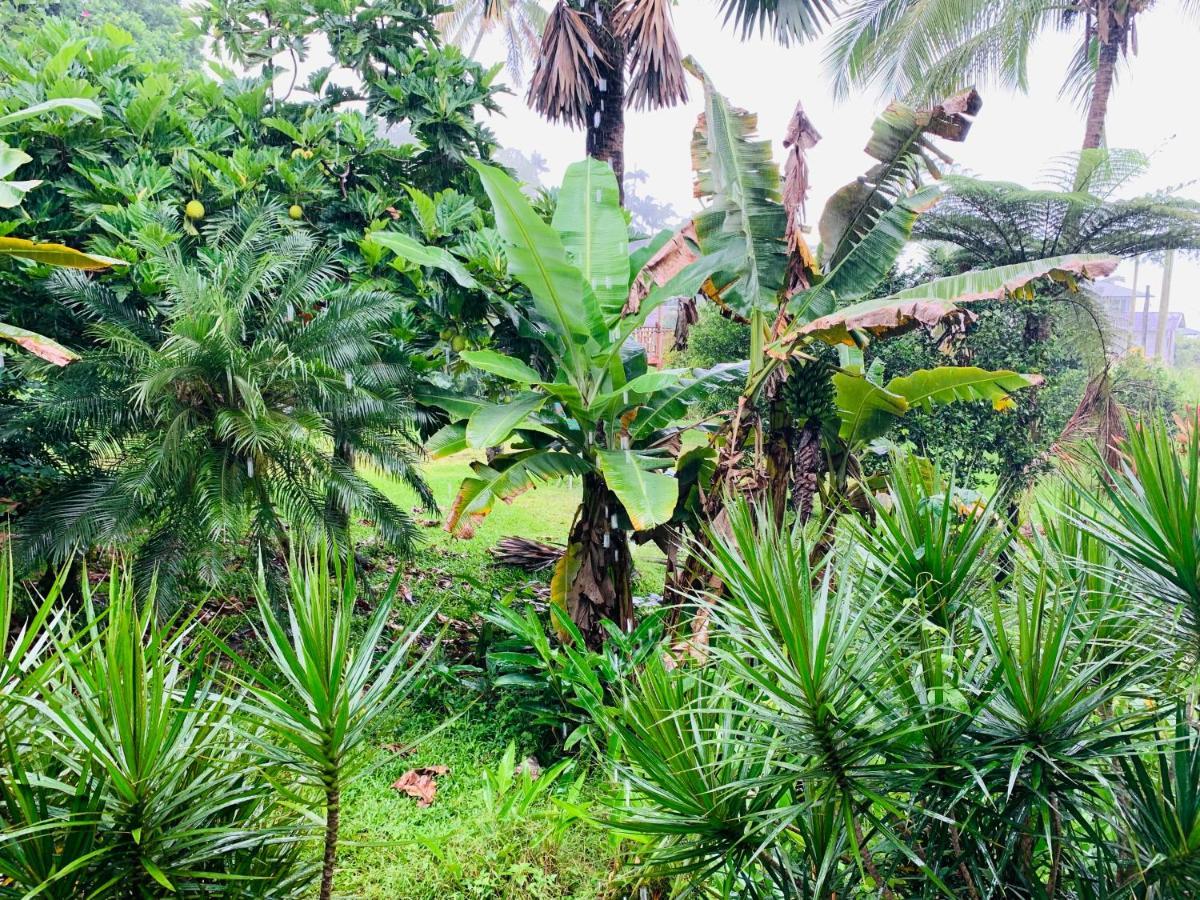 Hotel Wild Ginger Hilo