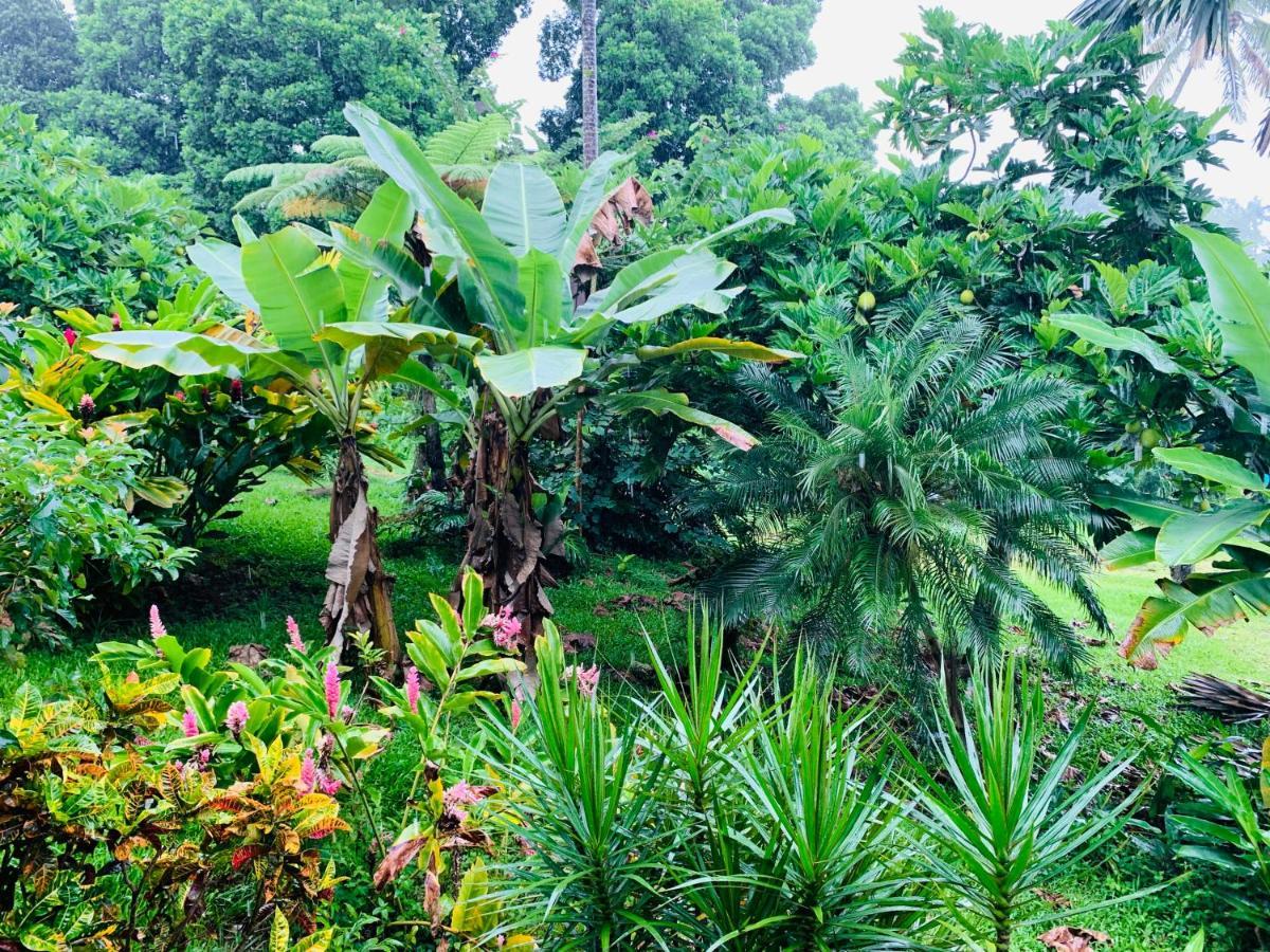 Wild Ginger 3* Hilo
