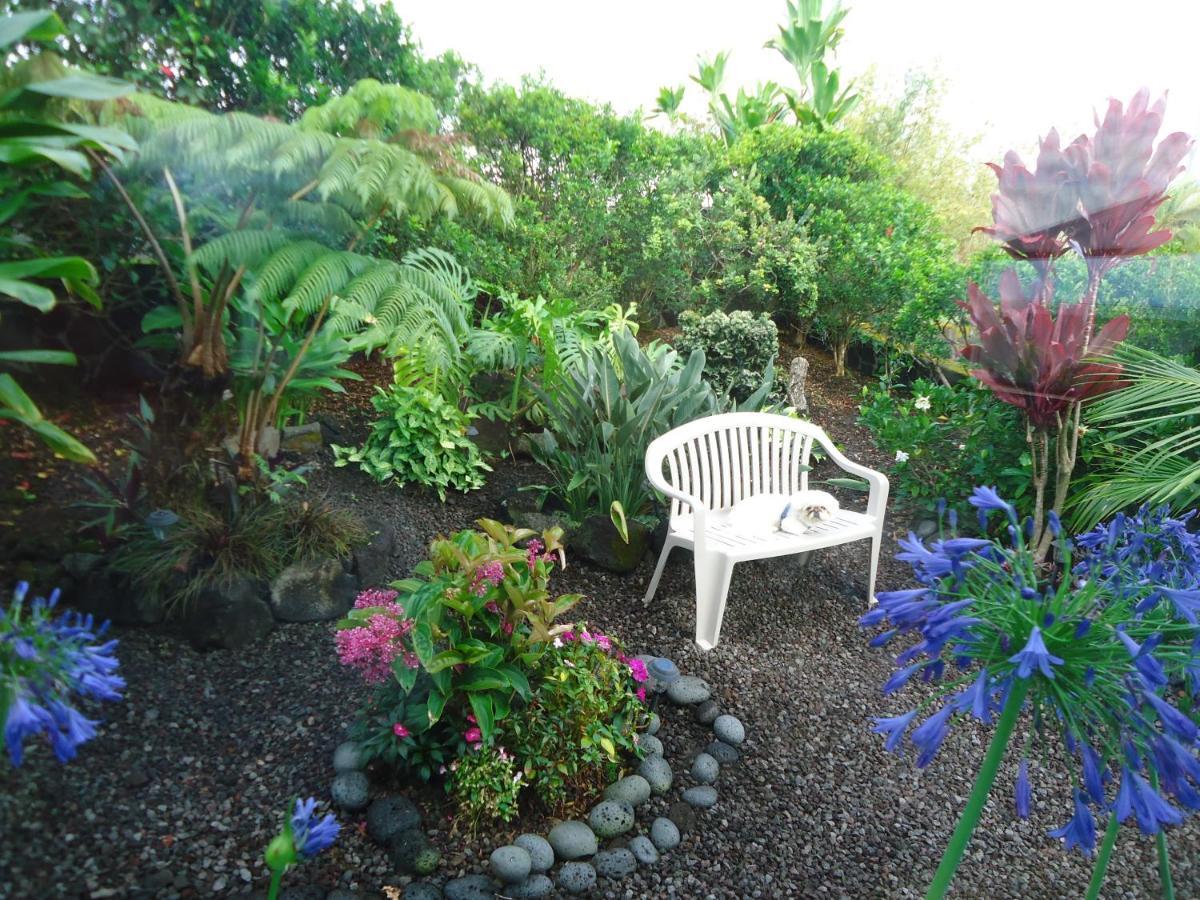 Guest house In *