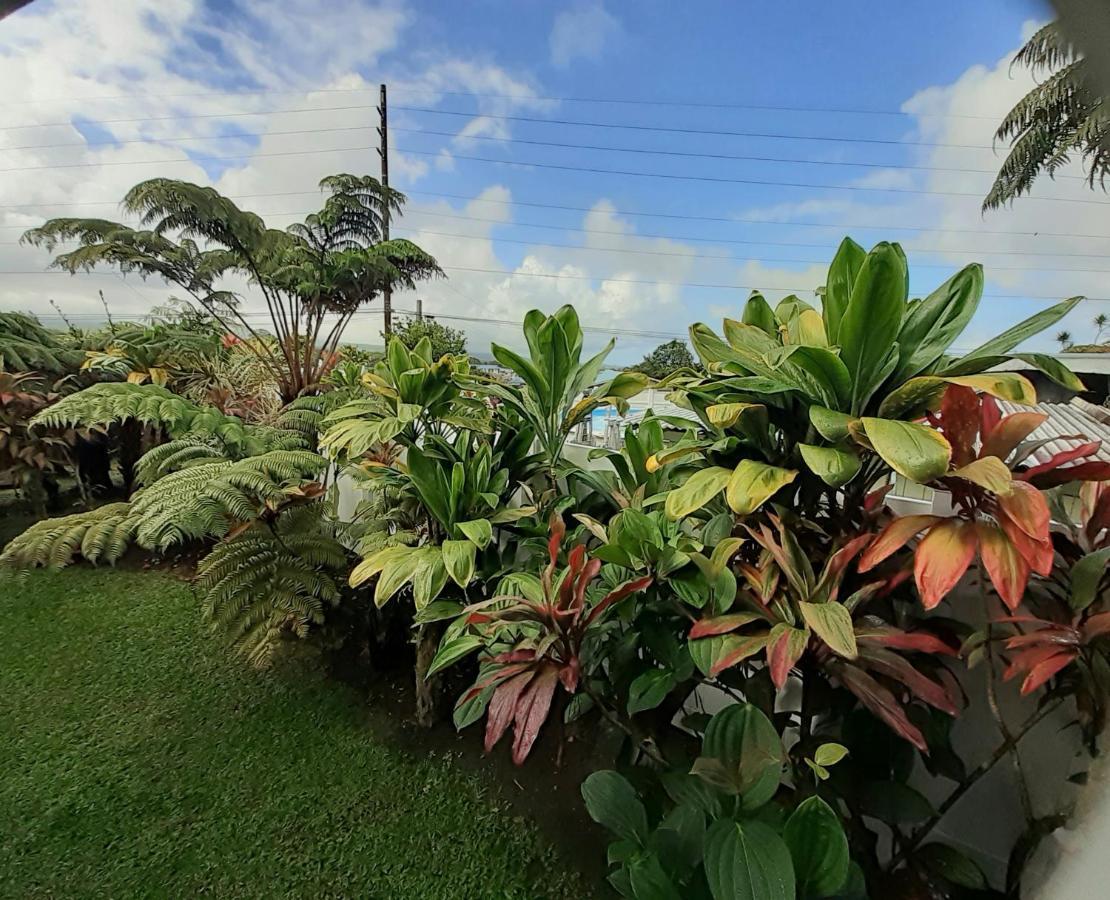 Paradise At Anthurium Hale Homestay Hilo