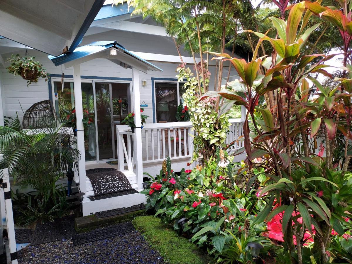 Paradise At Anthurium Hale