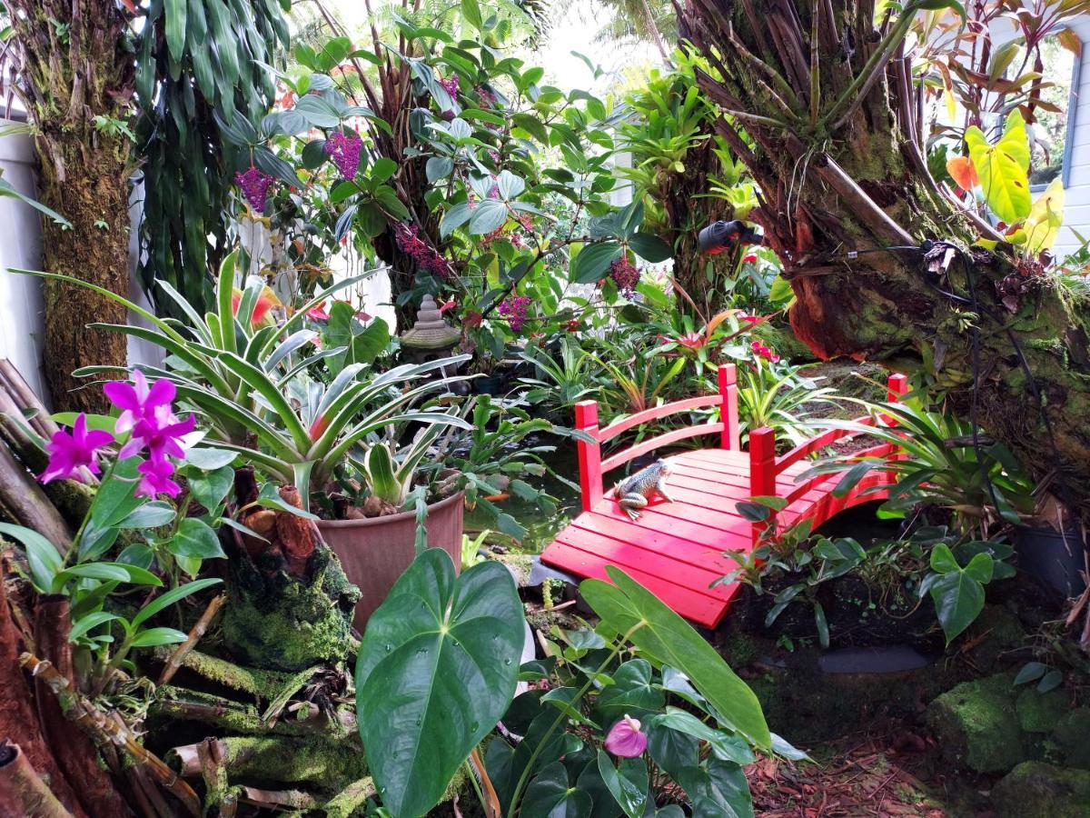 Paradise At Anthurium Hale