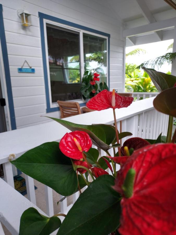 Paradise At Anthurium Hale