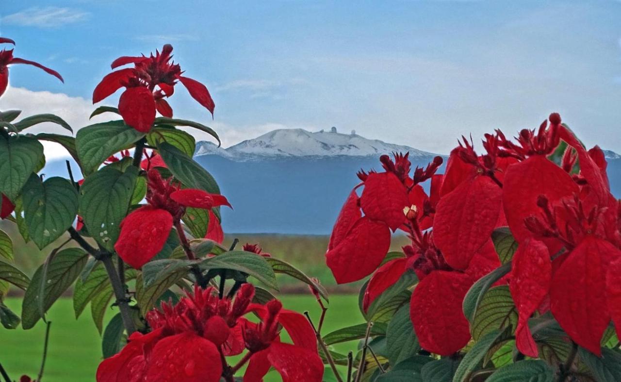 Aparthotel Ocean View Mauna Loa Shores Kai Ekahi #201 Next To Carlsmith Park Hi Hilo