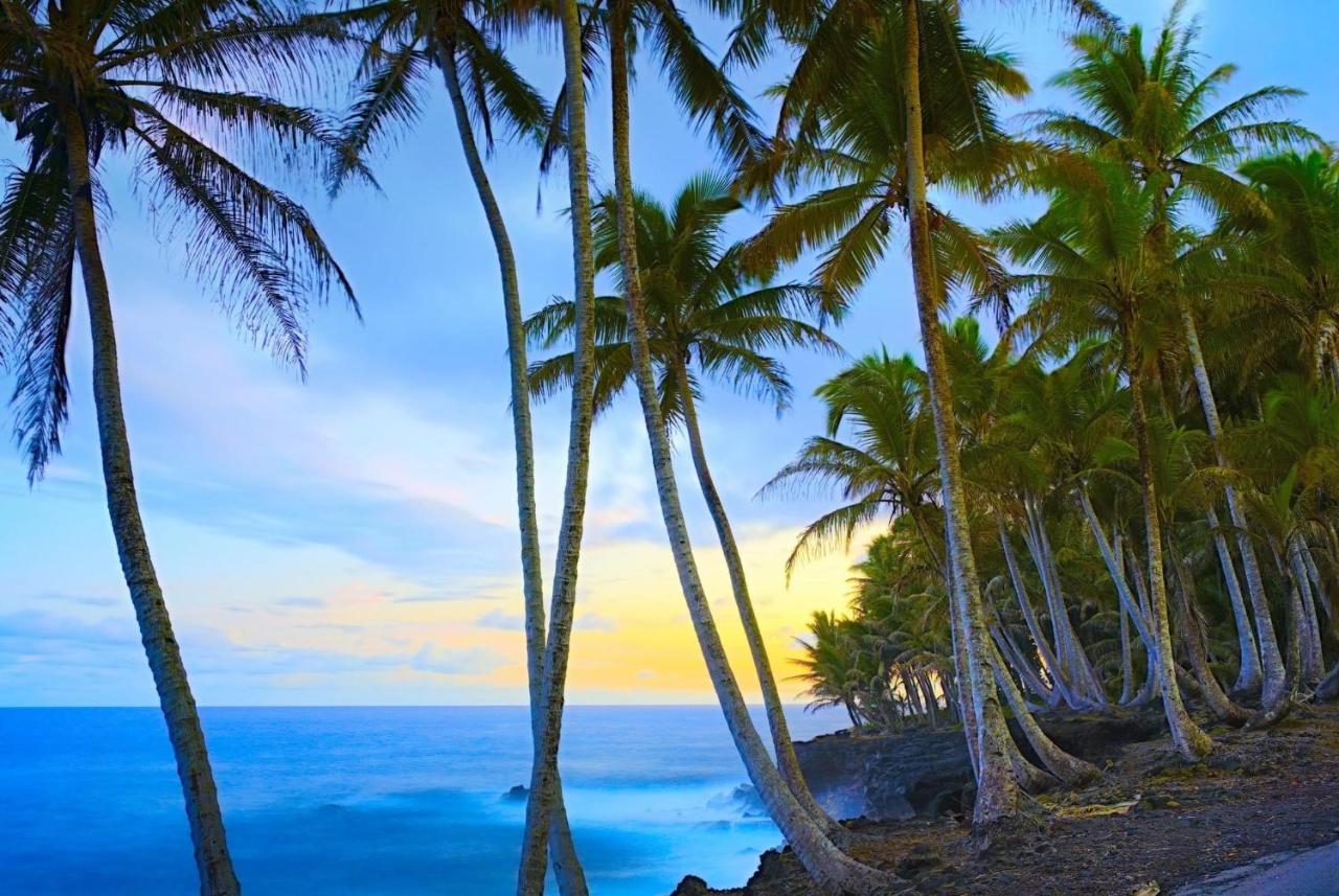 Ocean View Mauna Loa Shores Kai Ekahi #201 Next To Carlsmith Park Hi